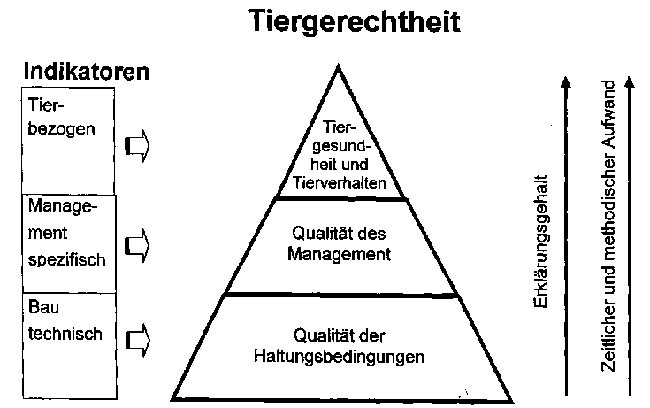 aus Sundrum, A. (1998)